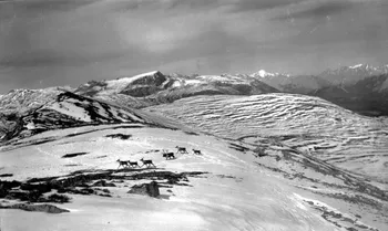 Para Web Console - the admin UI for your backend