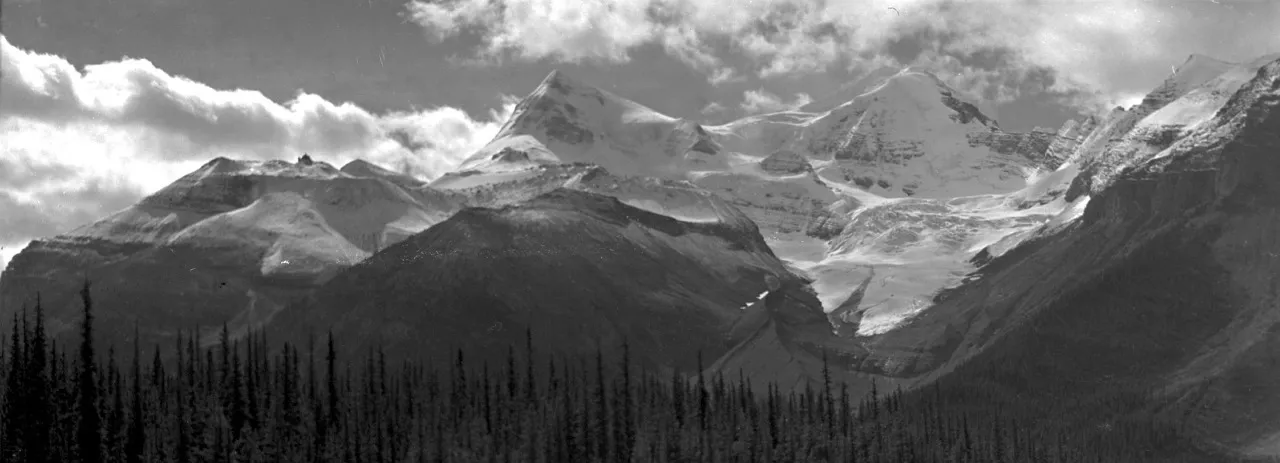 Building a full stack application from scratch with Angular